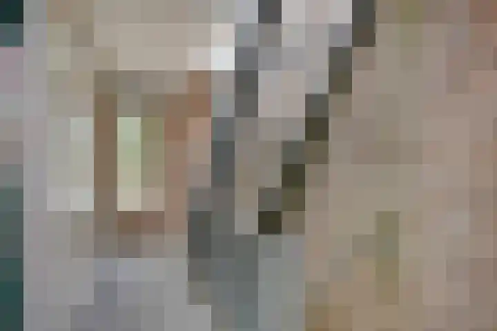 Adelbert van Scharnlaan F 57 Maastricht thumbnail 8