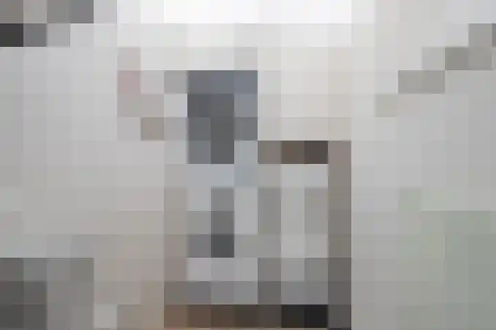 Adelbert van Scharnlaan F 62 Maastricht thumbnail 11