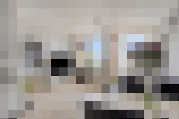 Adelbert van Scharnlaan F 71 Maastricht thumbnail 12