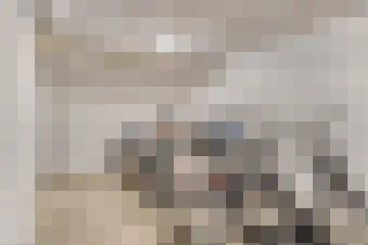 Adelbert van Scharnlaan F 71 Maastricht thumbnail 26