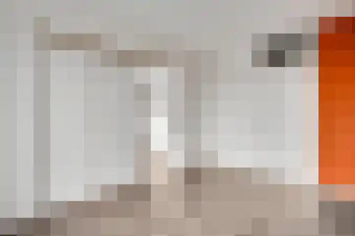 Adelbert van Scharnlaan F 75 Maastricht thumbnail 8