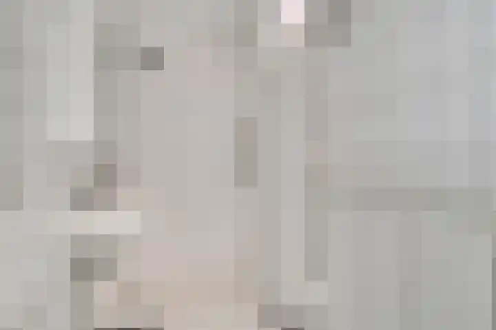 Adelbert van Scharnlaan F 75 Maastricht thumbnail 9