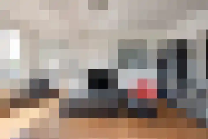 Adelbert van Scharnlaan G 12 Maastricht thumbnail 11