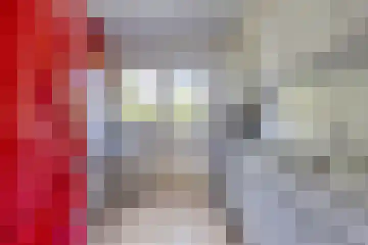 Adelbert van Scharnlaan G 12 Maastricht thumbnail 14
