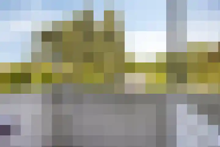 Adelbert van Scharnlaan G 12 Maastricht thumbnail 16