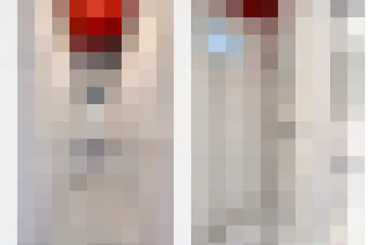 Adelbert van Scharnlaan G 12 Maastricht thumbnail 22