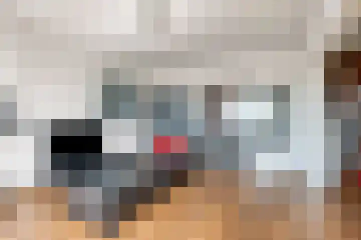Adelbert van Scharnlaan G 12 Maastricht thumbnail 9