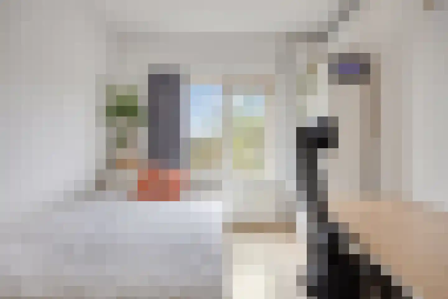 Adelbert van Scharnlaan G 32 Maastricht thumbnail 25