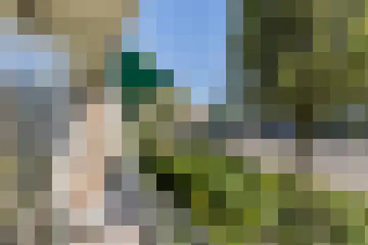 Adelbert van Scharnlaan G 33 Maastricht thumbnail 17