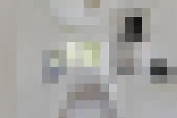 Adelbert van Scharnlaan G 33 Maastricht thumbnail 19