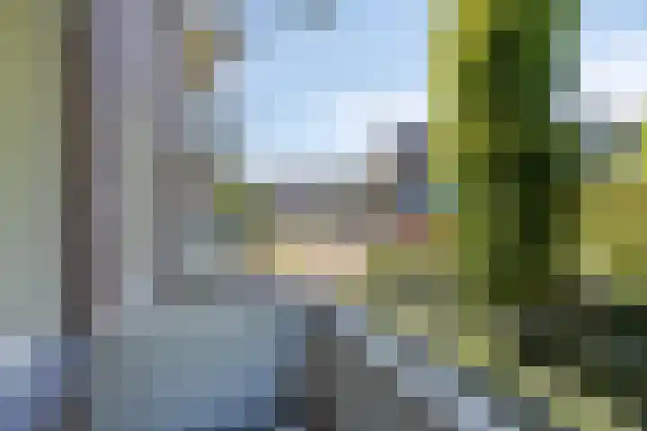 Adelbert van Scharnlaan G 33 Maastricht thumbnail 21