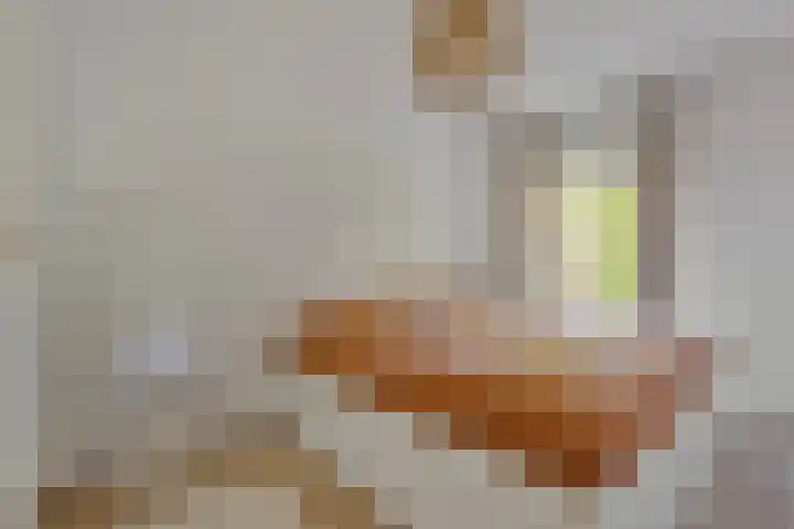 Adelbert van Scharnlaan G 33 Maastricht thumbnail 27