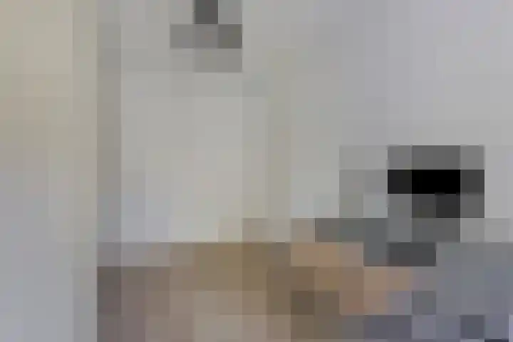 Adelbert van Scharnlaan G 33 Maastricht thumbnail 29