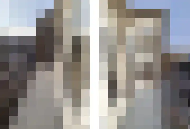 Adelbert van Scharnlaan G 40 Maastricht thumbnail 10