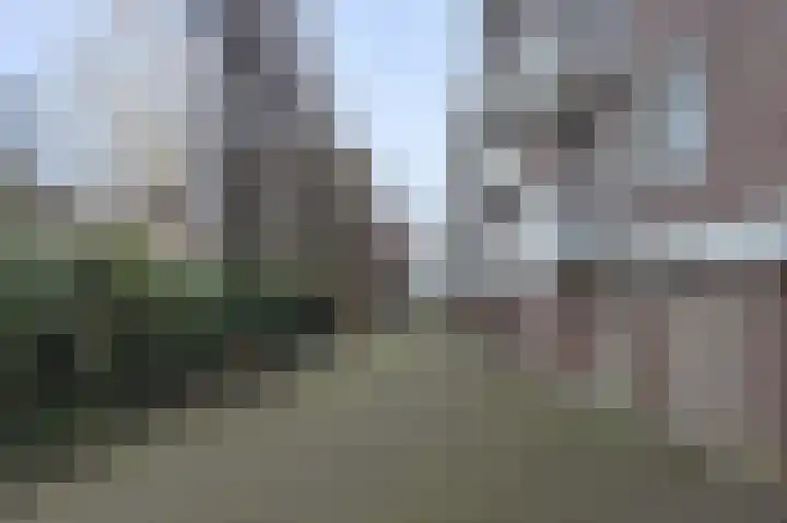 Adelbert van Scharnlaan G 40 Maastricht thumbnail 23