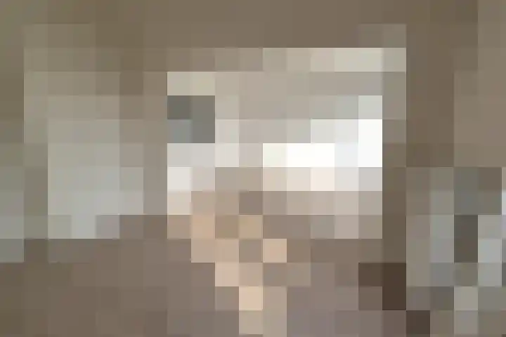 Adelbert van Scharnlaan G 40 Maastricht thumbnail 8