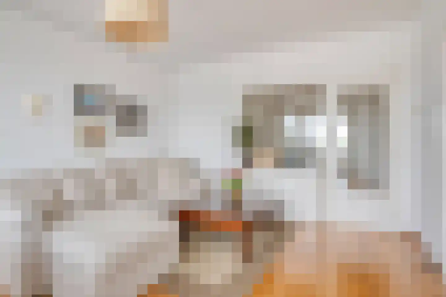 Adelbert van Scharnlaan G 44 Maastricht thumbnail 6