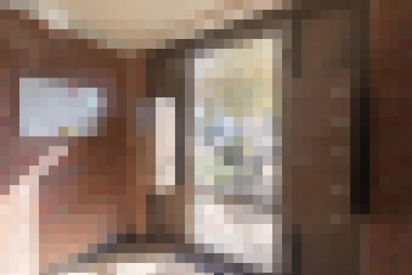 Adelbert van Scharnlaan H 5 Maastricht thumbnail 15