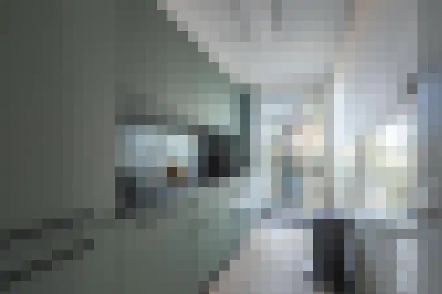 Adelbert van Scharnlaan H 5 Maastricht thumbnail 7