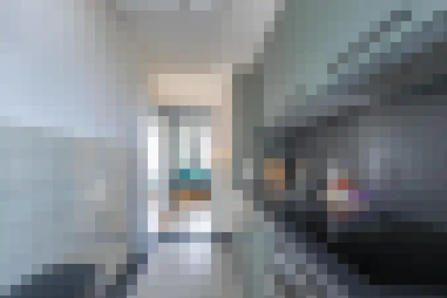 Adelbert van Scharnlaan H 5 Maastricht thumbnail 8