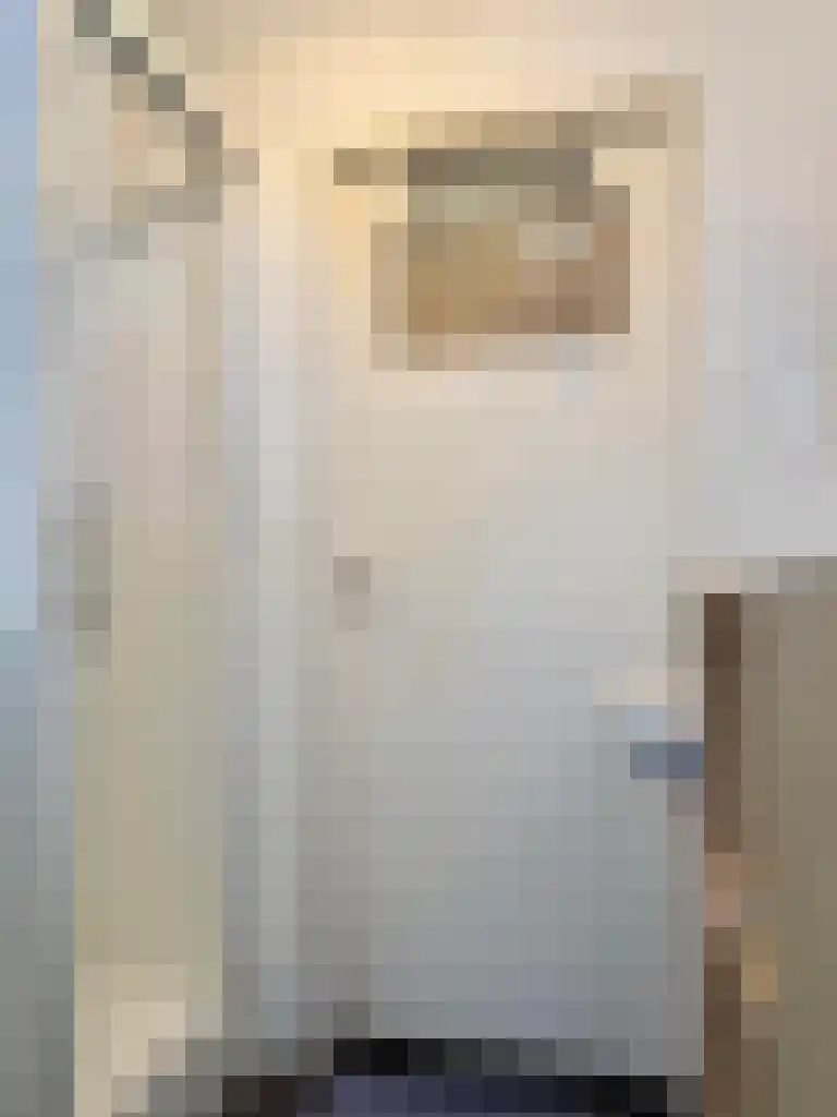 Adelbert van Scharnlaan H Maastricht thumbnail 4