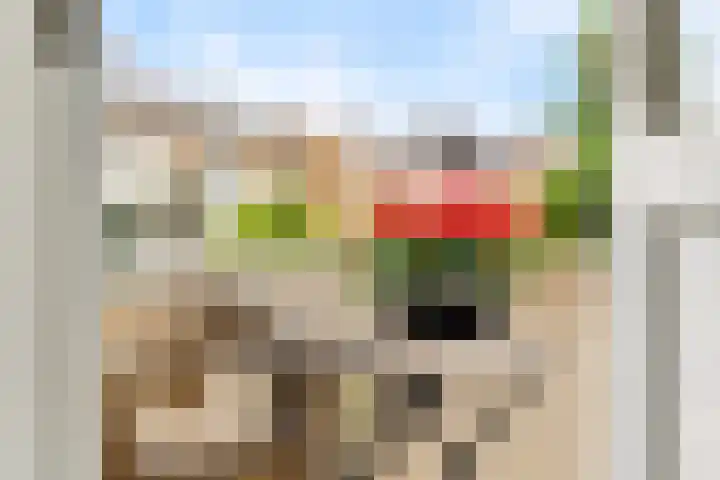 Adelbert van Scharnlaan R 1 Maastricht thumbnail 16