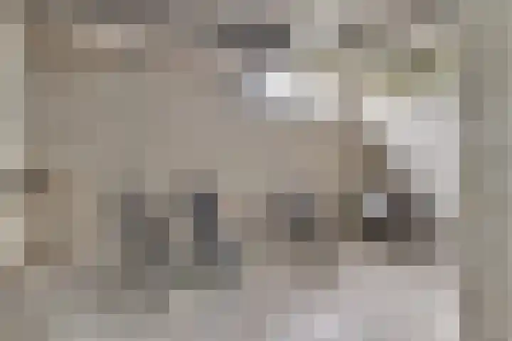 Adelbert van Scharnlaan R 1 Maastricht thumbnail 21