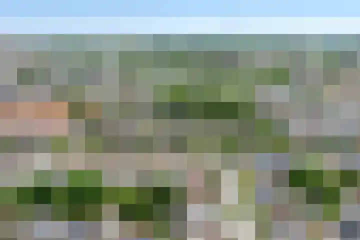 Adelbert van Scharnlaan R 1 Maastricht thumbnail 6