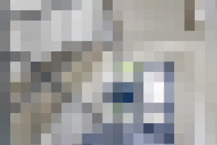 Adelbert van Scharnlaan R 1 Maastricht thumbnail 7