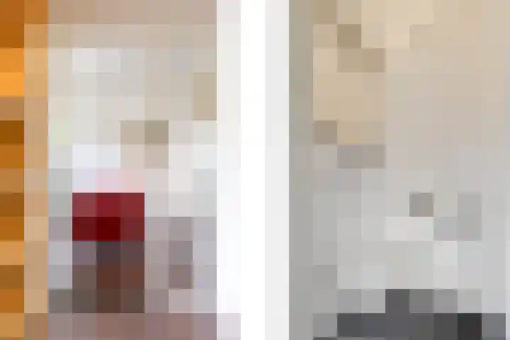 Adelbert van Scharnlaan R 1 Maastricht thumbnail 9
