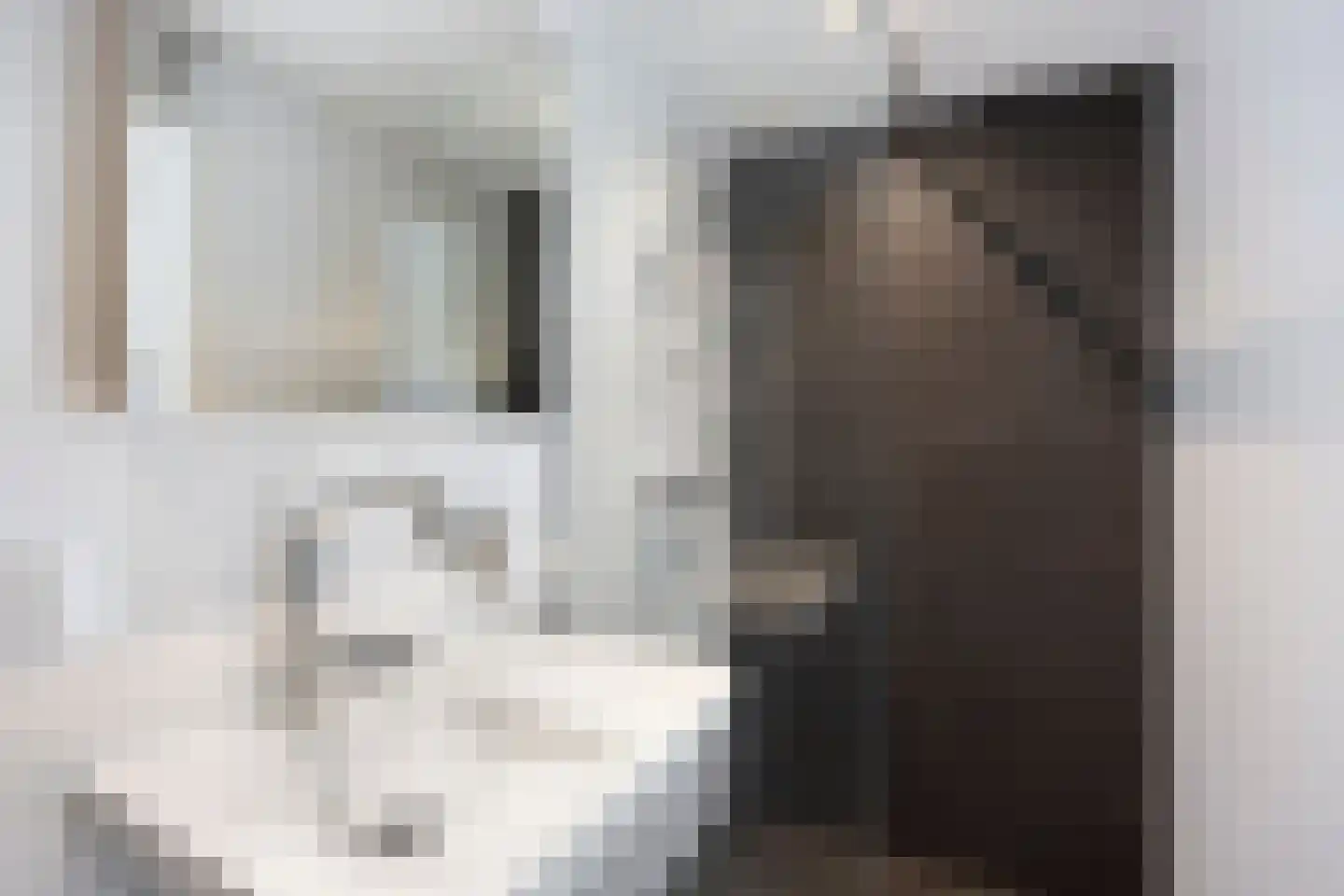 Adelbert van Scharnlaan R 5 Maastricht thumbnail 13