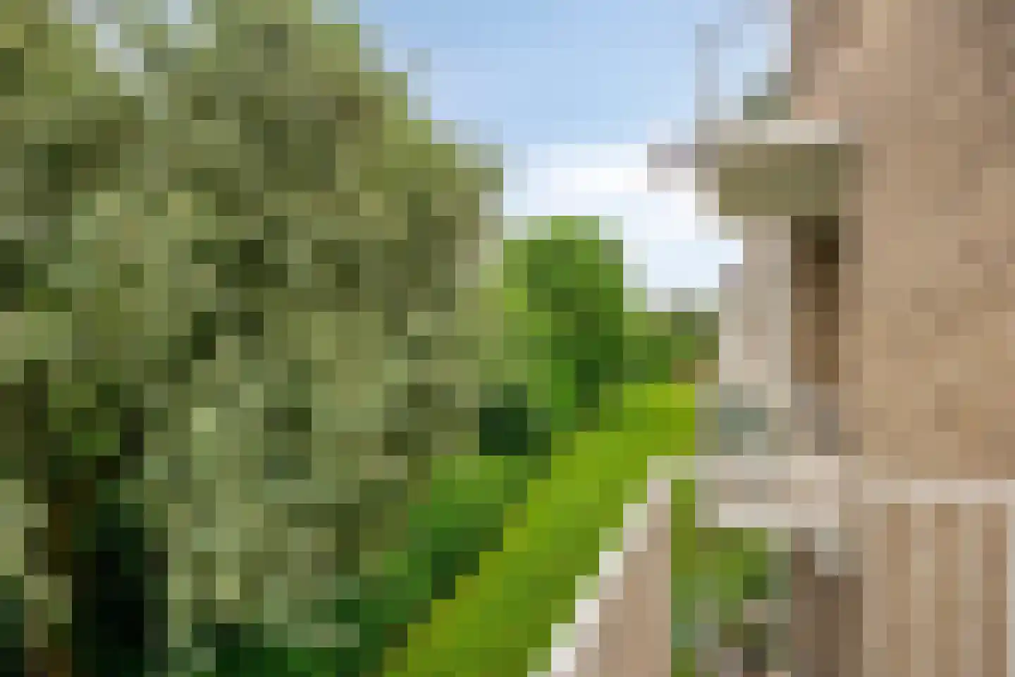 Adelbert van Scharnlaan R 5 Maastricht thumbnail 5