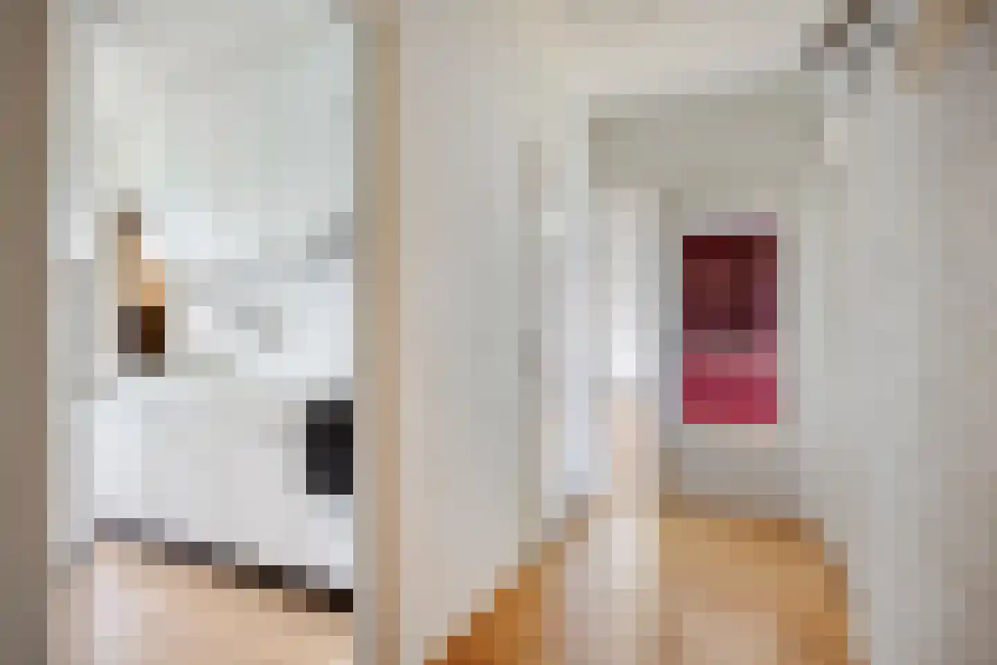 Adelbert van Scharnlaan R 5 Maastricht thumbnail 8