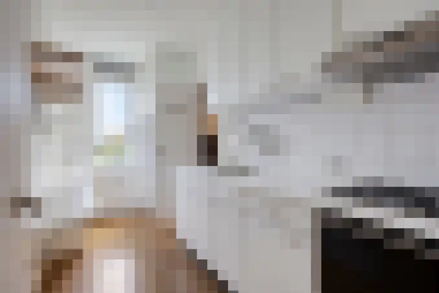 Adelbert van Scharnlaan R 5 Maastricht thumbnail 9