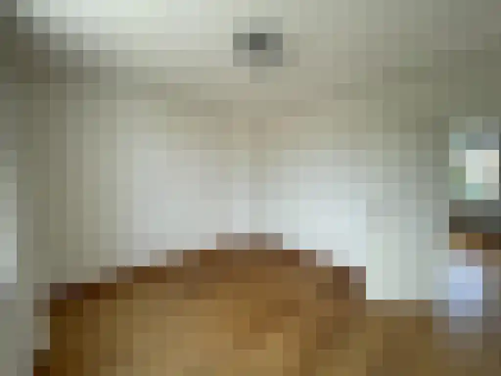 Adelbert van Scharnlaan R 6 Maastricht thumbnail 6