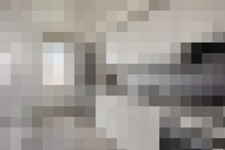 Adelbert van Scharnlaan S 24 Maastricht thumbnail 10