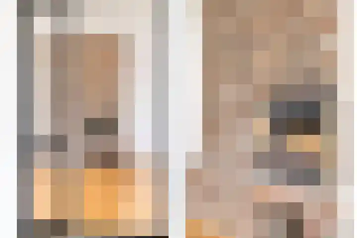 Adelbert van Scharnlaan S 24 Maastricht thumbnail 8