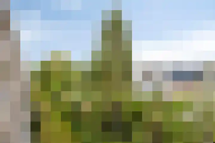 Adelbert van Scharnlaan S 24 Maastricht thumbnail 9