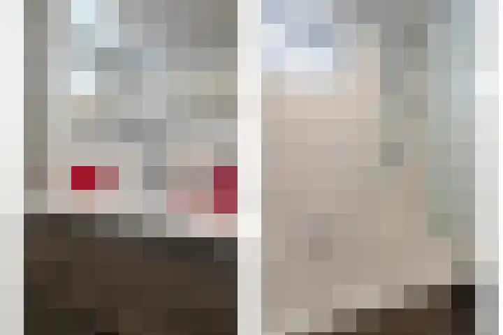 Adelbertweg 39 Venray thumbnail 26