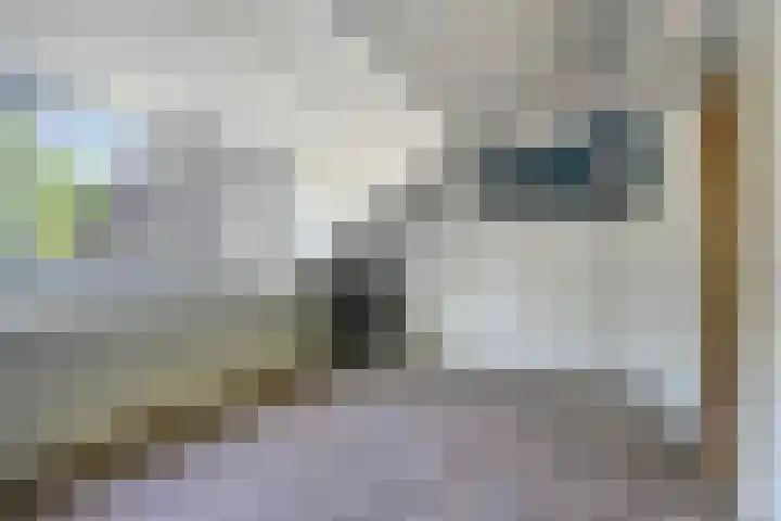 Adelbertweg 39 Venray thumbnail 30