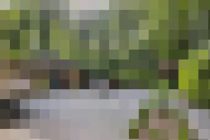 Adelbertweg 39 Venray thumbnail 31
