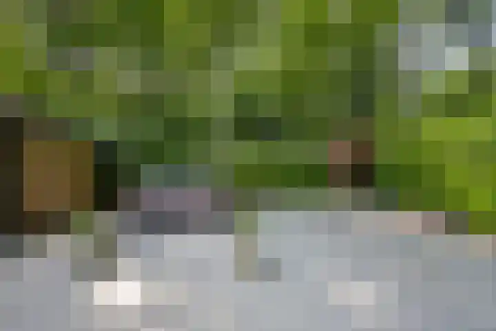 Adelbertweg 39 Venray thumbnail 32