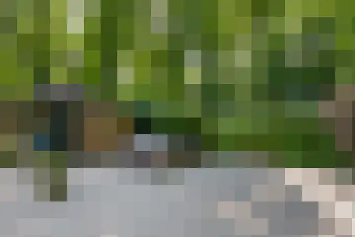 Adelbertweg 39 Venray thumbnail 33