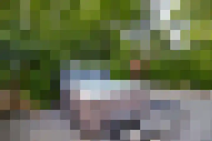 Adelbertweg 39 Venray thumbnail 34