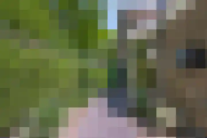 Adelbertweg 39 Venray thumbnail 35