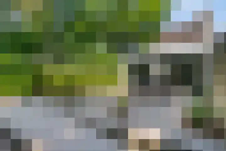 Adelbertweg 39 Venray thumbnail 36