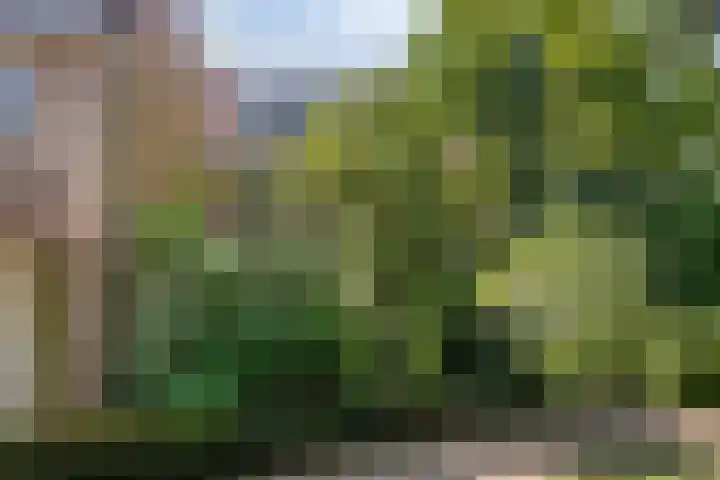 Adelbertweg 39 Venray thumbnail 40
