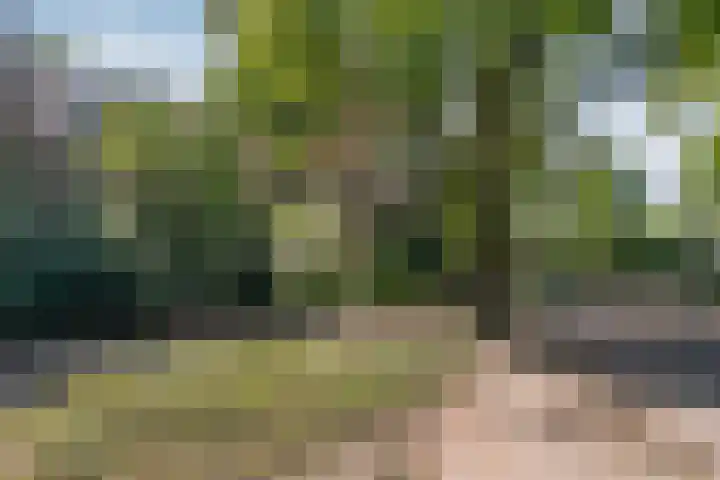 Adelbertweg 39 Venray thumbnail 41