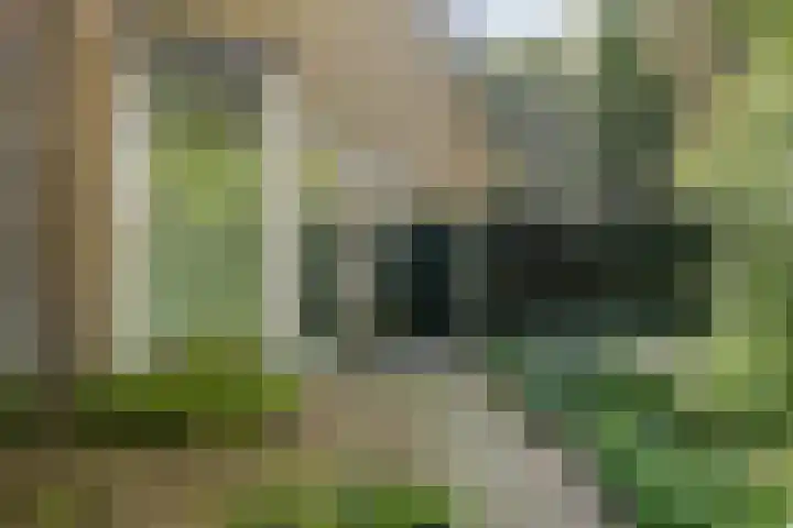 Adelbertweg 39 Venray thumbnail 42