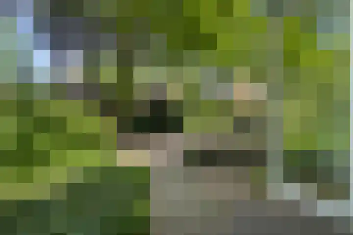 Adelbertweg 39 Venray thumbnail 43